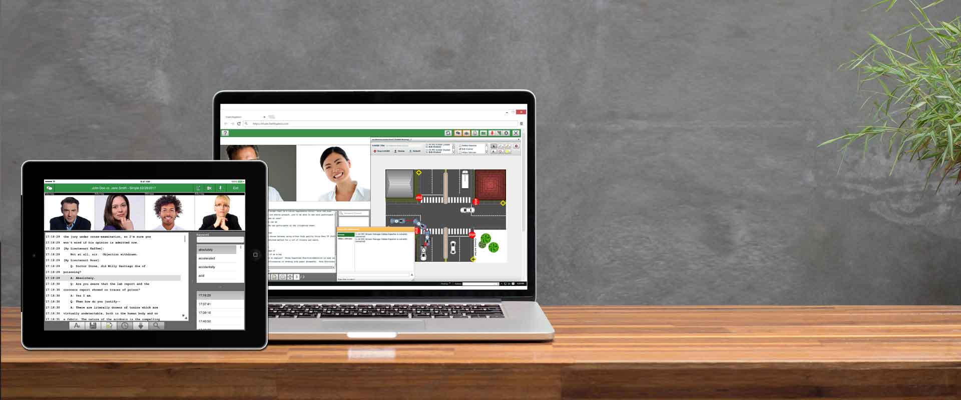 Litigation Software Allinone Local & Remote Solutions LiveLitigation